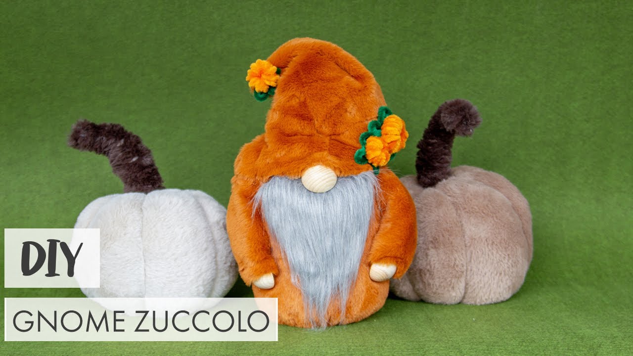 DIY Gnome Zuccolo