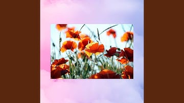 High-class Optimistic Mixes