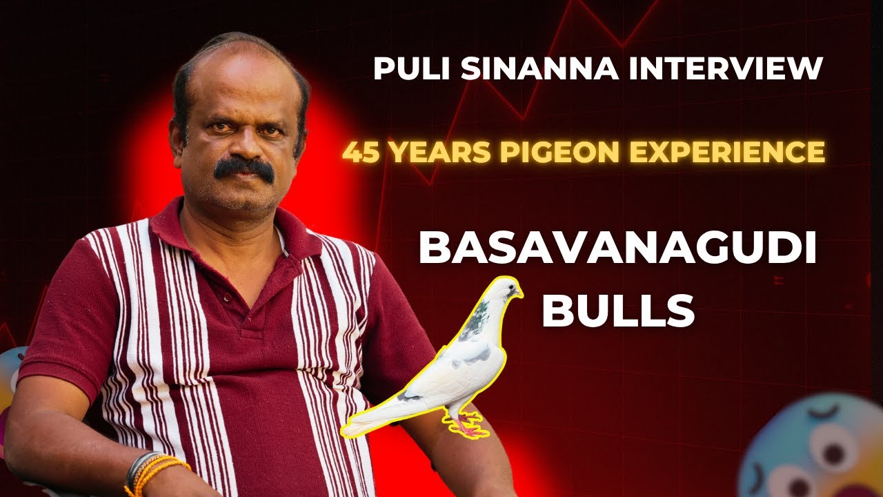 ಪುಲಿ ಸೀನಣ್ಣ Puli Sinanna Interview – PART 2 | 45 Years Pigeon Experience | Basavanagudi Bulls |