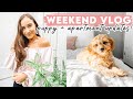 VLOG: Weekend alone with my puppy, thrive market haul, apartment updates, healthy dinner recipe!