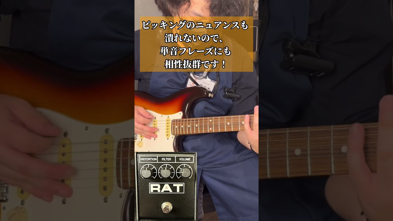 ギター Pro Co RAT 2 Pro Co RAT 2 Distortion Pedal | Sweetwater