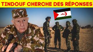 Polisario en panique : les frappes des FAR sèment le doute (Maroc Vs Algérie)