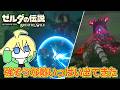 始めて2日目でライネルやガーディアンに挑んでみた【ゼルダの伝説 ブレス オブ ザ ワイルド】【切り抜き】