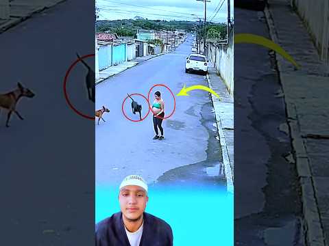 الكلاب تراجعت عن مهاجمة هذه المرأة الحامل لأنها أدركت انها تحمل في بطنهاجنين حالات واتس عبارات 