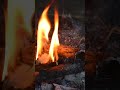 Bardic Tavern Ambience 🎵 Medieval Folk + Viking Nordic Folk #Shorts