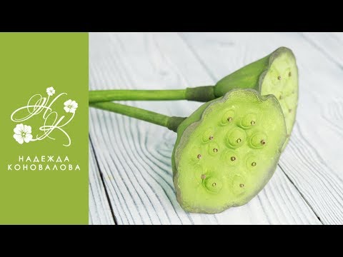 Коробочка лотоса из фоамирана