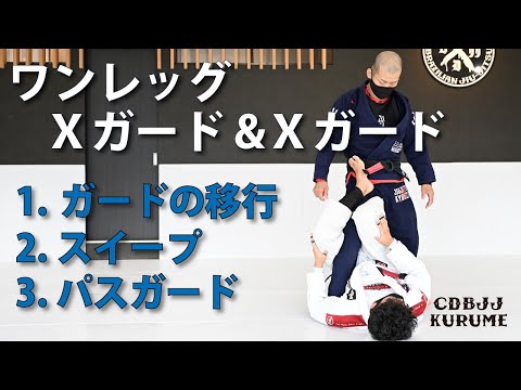 【ワンレッグX &Xガード】ガード移行 / スイープ / パスガード