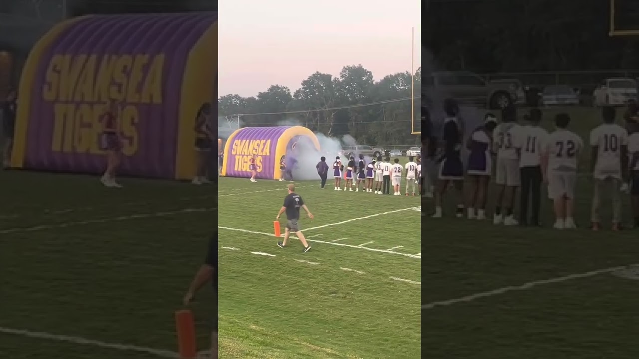 Swansea Tiger Football Emtrance