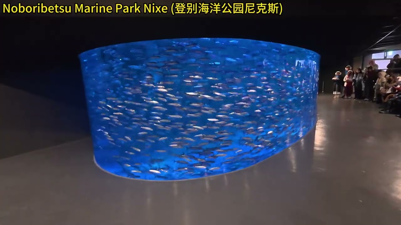 【20260118 Part3】北海道 #登别 #Noboribetsu Marine Park Nixe (登别海洋公园尼克斯)  #企鹅游行 #沙丁鱼的表演