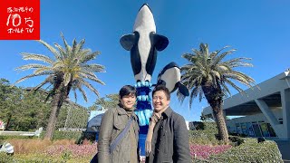 鴨川シーワールドを遊び尽くす‼︎サメやエイにエサをやり、圧巻のシャチパフォーマンス♪