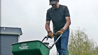 Thoughts on Starter Fertilizer Backyard Update After Dethatching