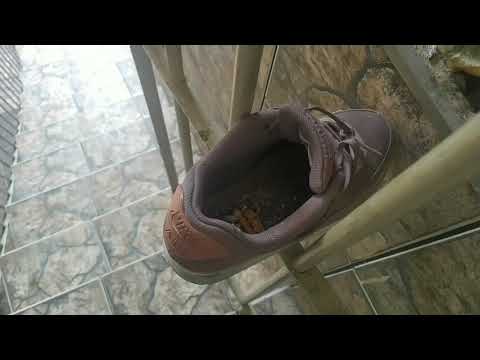 Nike Air Max 90 ashtray (FULL)