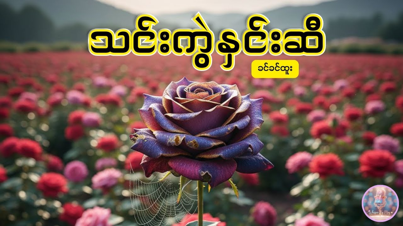 သင်းကွဲနှင်းဆီ | ဆရာမခင်ခင်ထူး | Audiobook by May | 