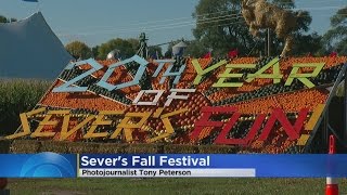 Sever’s Fall Festival Has Something For Everyone