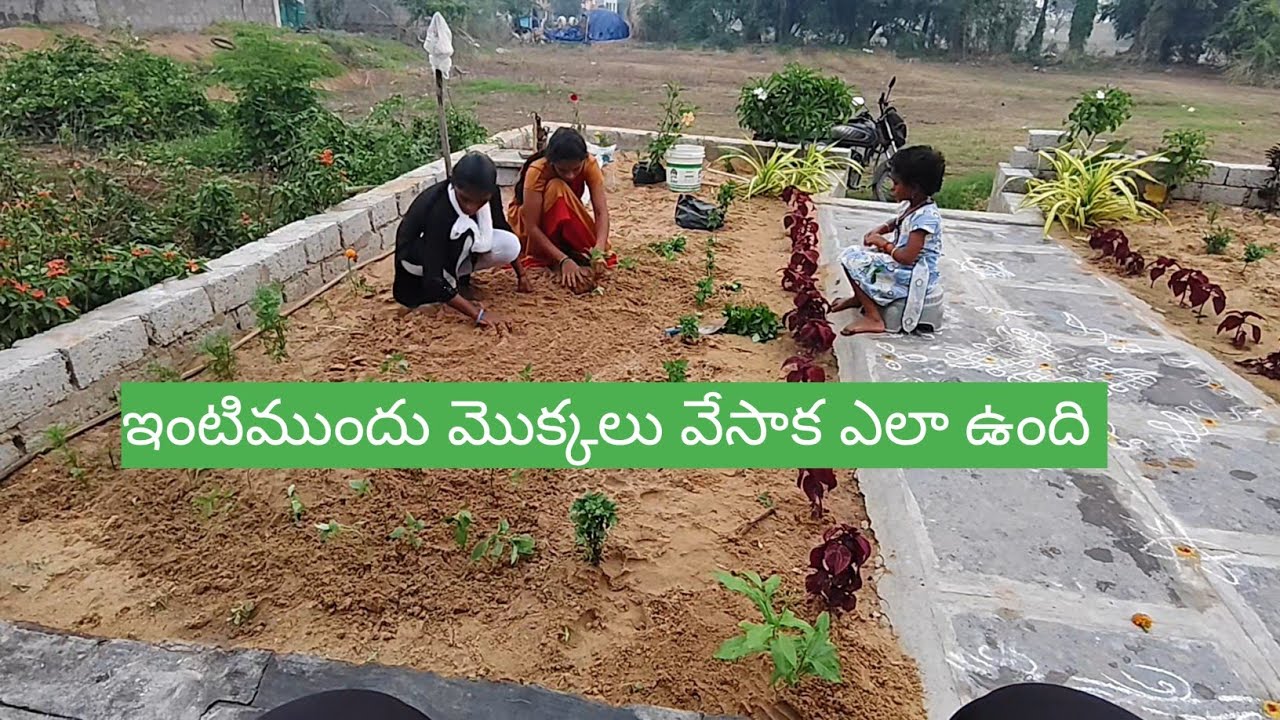 Vlog//ఇంటిముందు మొక్కలు నాటడం పూర్తయ్యింది //ఇల్లు ఇప్పుడు ఇంకా బాగుంది 