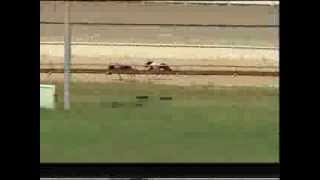 Maitland-Pt-26122013-Race-1