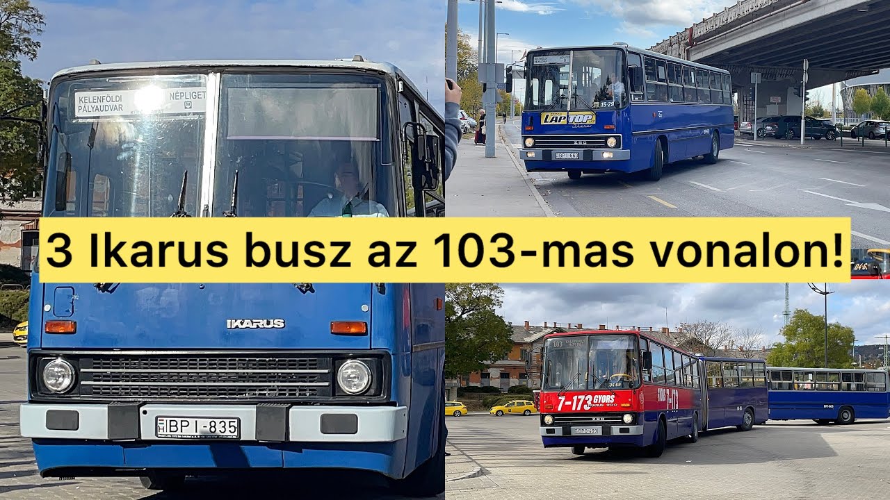 KÜLÖNLEGES IKARUS BUSZOK A RÉGI 103- MAS BUSZ VONALON!😲