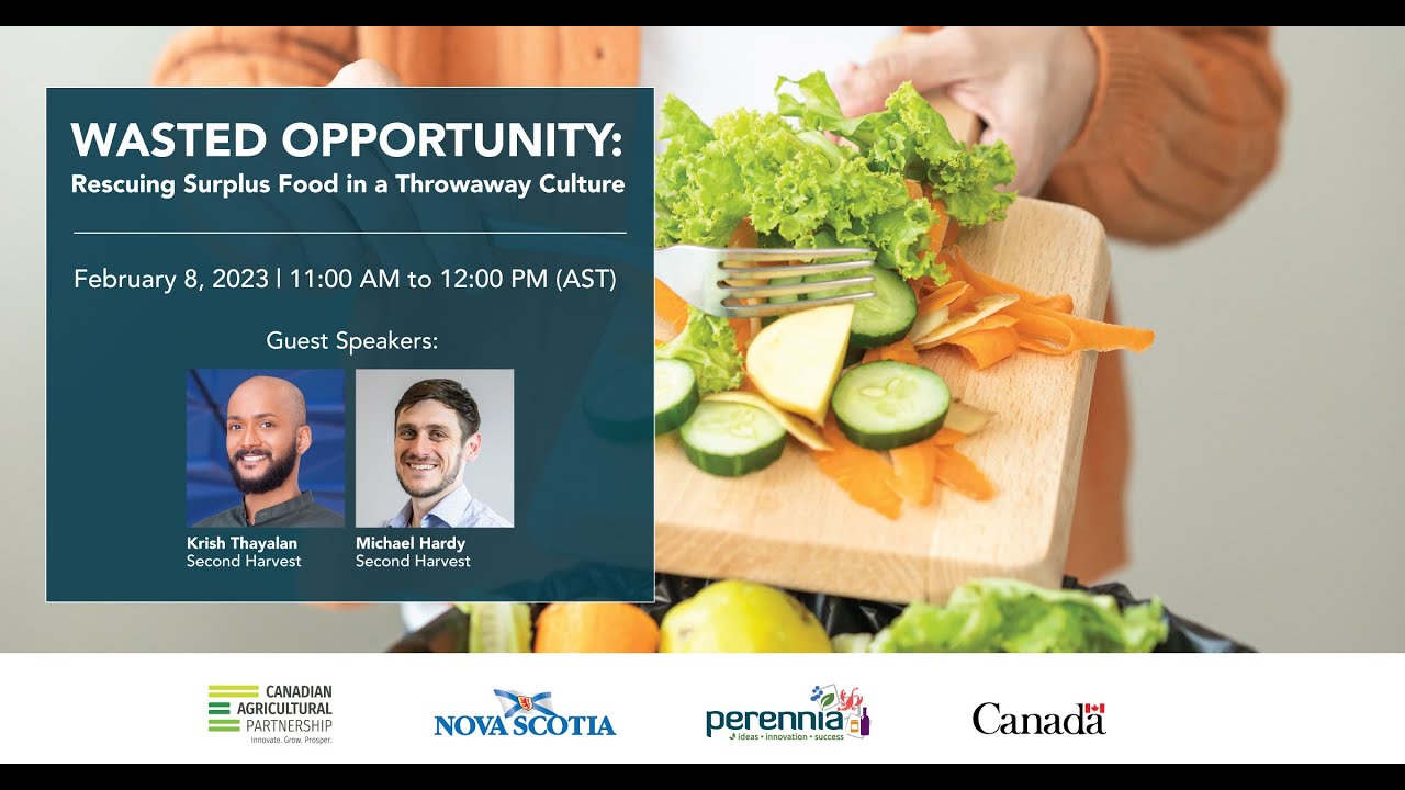 Wasted Opportunity: Rescuing Surplus Food in a Throwaway Culture