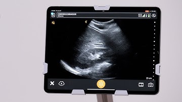 Selecting Application Presets