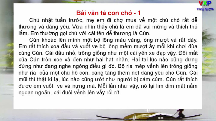 Dàn ý bài văn miêu tả con mèo lớp 4