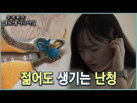 난청 의심해야 하는 이명 (KBS 20220928 방송)