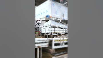 #shorts 50 ton direct cooling block ice machine automatic ice machine