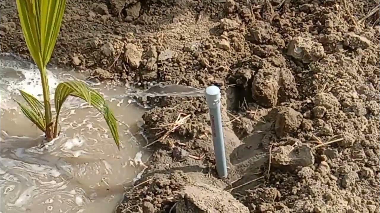 Drip irrigation for trees like coconut tree, mango tree, sapota tree