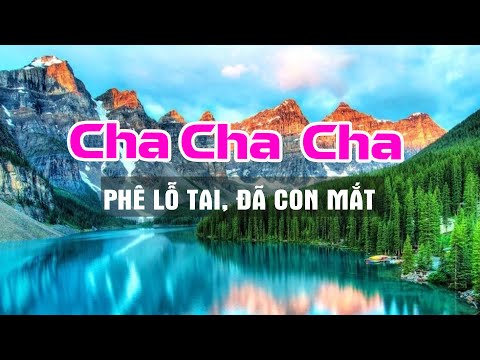 #1 Nhạc Không Lời Cha Cha Cha buổi sáng ngắm cảnh nước ngoài cực phê- Hoà Tấu Cha Cha đẳng cấp thế giới Mới Nhất