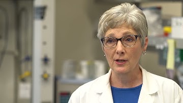 Molecular Oncology and Functional Genomics Lab - Dr. Dawn Duval Flint Animal Cancer Center