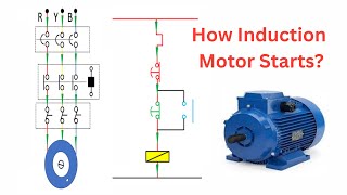 How Induction Motor Starts? DOL Starter| Working of DOL starter|