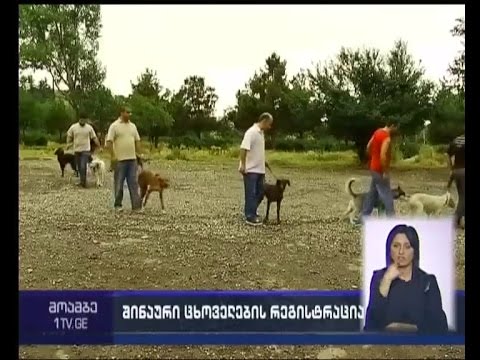 დაურეგისტრირებელი შინაური ცხოველების მეპატრონეები დაჯარიმდებიან