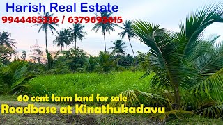 Coconut farm land for sale I 60 cents I Roadbase I Kinathukadavu I Harish Real Estate-Pollachi