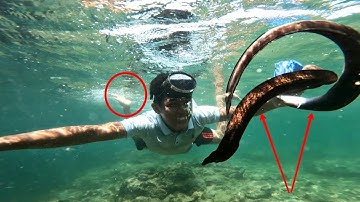 Săn Con THUỒN LUỒNG Biển Sinh Vật Kỳ Lạ Nữa Lương Nữa Cá | Người Rừng Xuống Biển (P11)