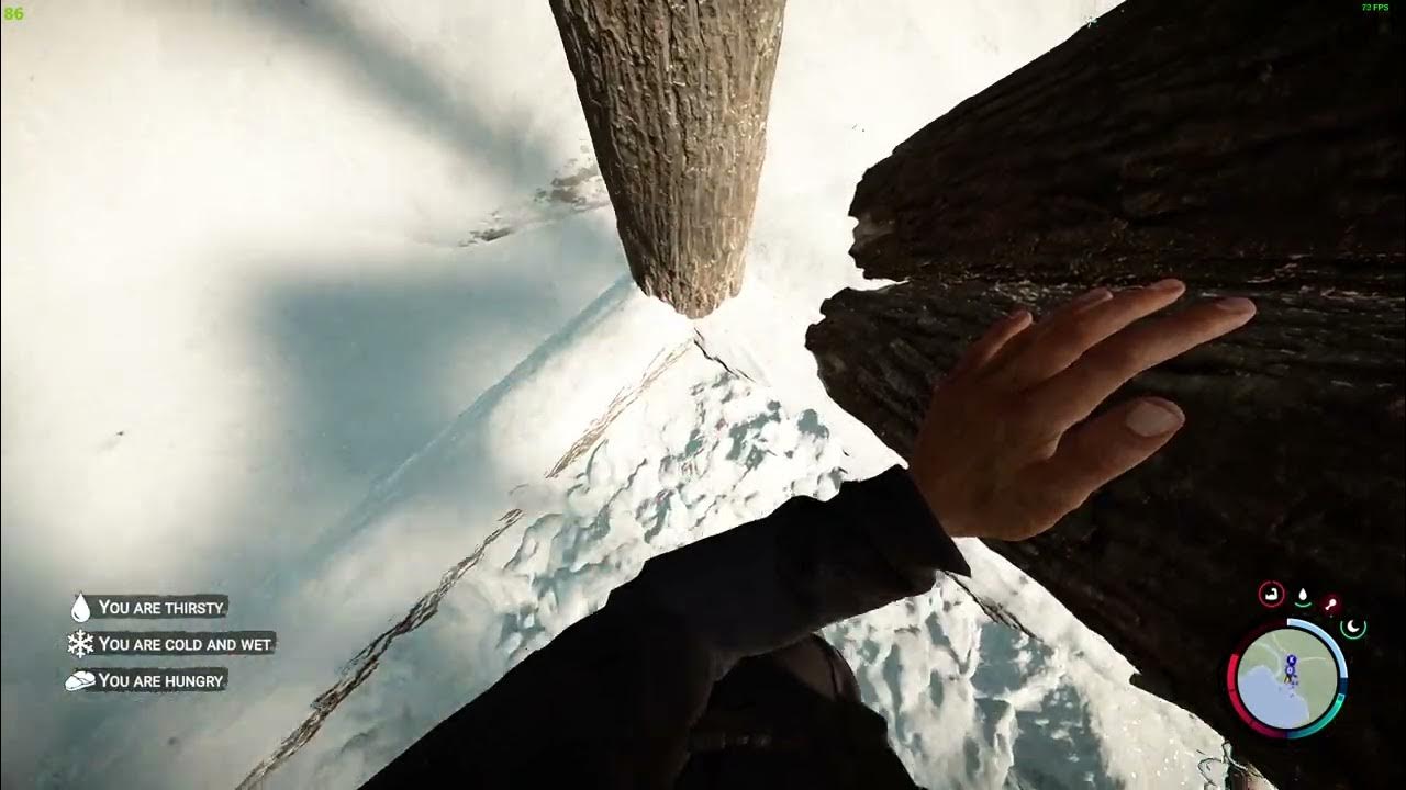 How to Duplicate Logs In Sons Of The Forest YouTube