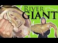 Fishing for giant flathead catfish jet boat fishing