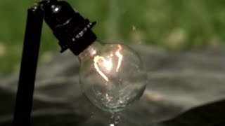 Spectacular light bulb shooting | slow mo lab