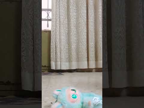 مش عارفي إزا زبط ولا لا وحكمو إنتو