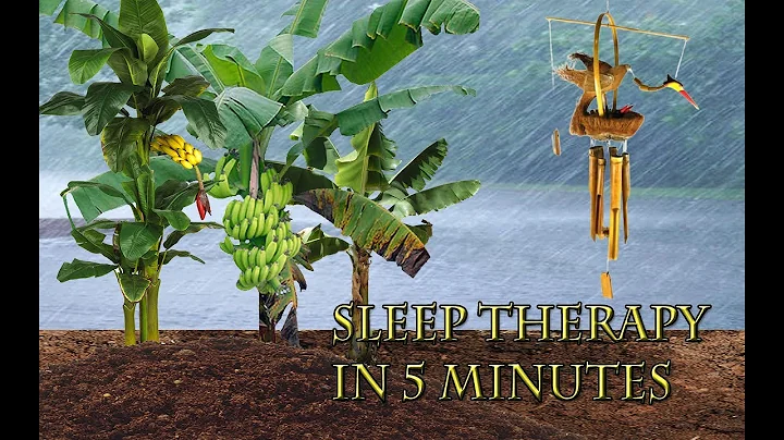 chimes rain thunder bamboo 1 hour wind calm meditation yoga relaxing insomnia sleep nature voice