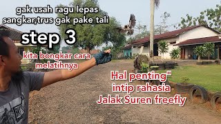 inilah'' HAL-HAL PENTING YANG HARUS PAHAMI SEBELUM LEPAS TALI.Jalak Suren freefly outdoor