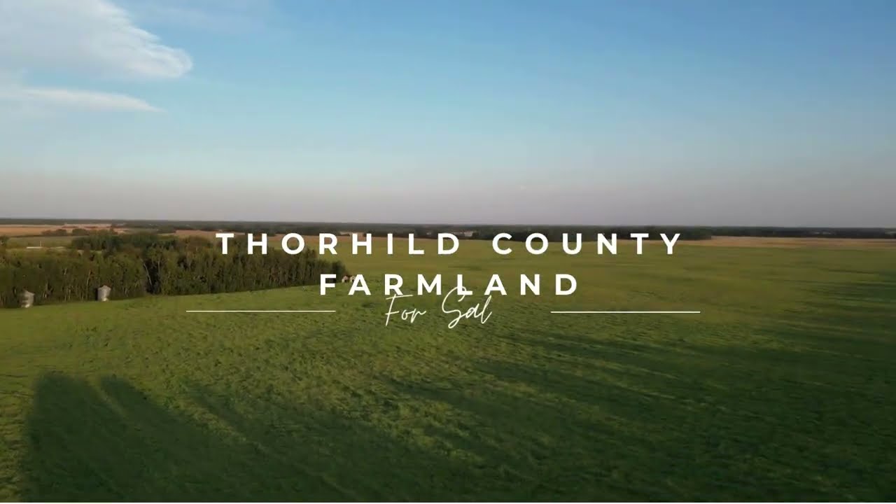 Thorhild County Farmland for Sale - 1/4 Section