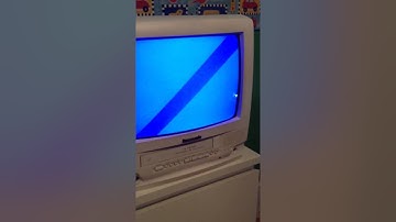 What happens if you put a PAL Tape in an NTSC Sony VCR