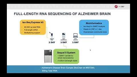 RNA sequencing of Alzheimer brain sample using long reads reveals complex alternative splicing
