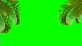 Palm Tree On The Beach / Palmeira na Praia - Green Screen / Chroma Key