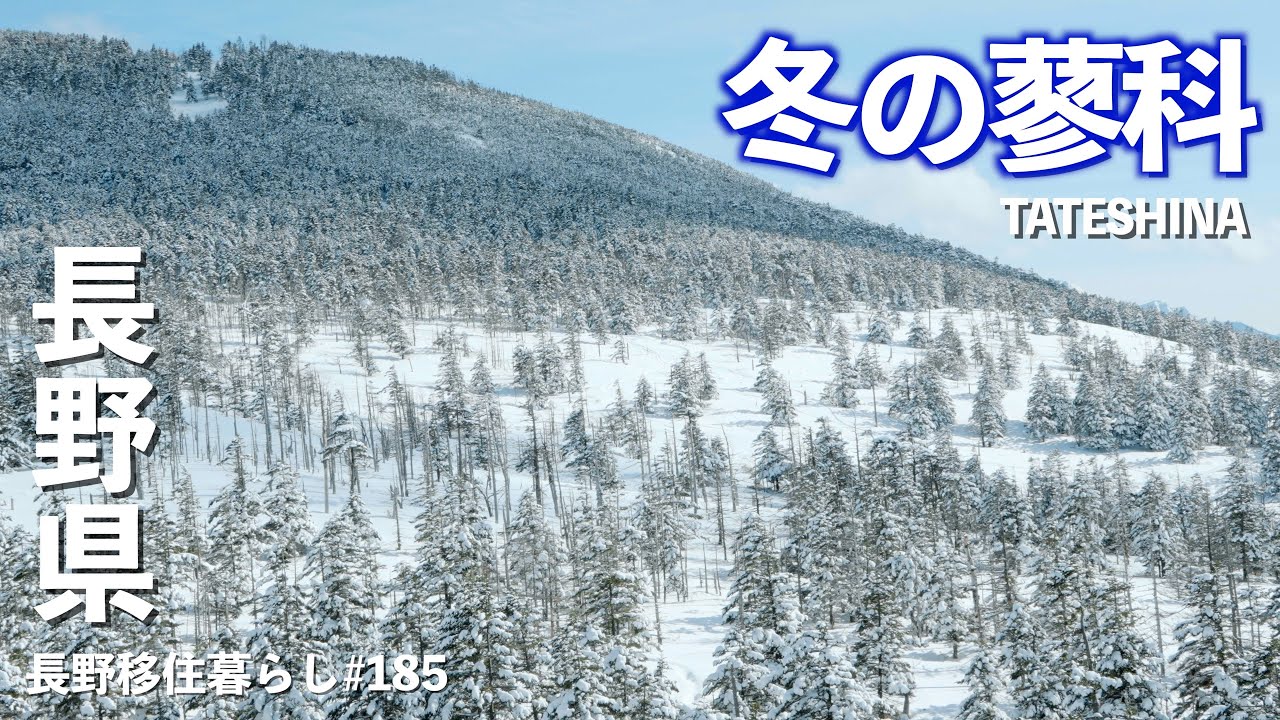 【長野移住】こんな安くて良いの!?蓼科は美食と絶景の楽園♪｜ガムラスタン｜北八ヶ岳ロープウェイ｜雪中車中泊｜ドライブ｜田舎暮らし｜長野県｜4K