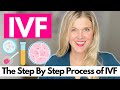 What is IVF?  Step by Step of the IVF Process to Get Pregnant