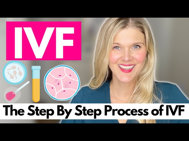 What is IVF?  Step by Step of the IVF Process to Get Pregnant class=