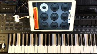 Loopy HD - Mitosynth - AudioBus - Let’s Compose Ambient Soundscapes - iPad Live