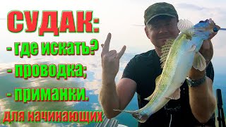 Ловля СУДАКА для начинающих! Где искать судака, делюсь своей проводкой, силикон SCOUT!