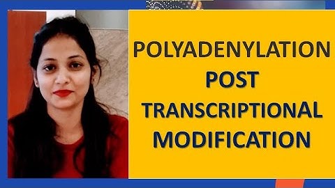 Post Transcriptional Modification | Polyadenylation (Poly A tail ) With PYQs  By Kumkum Gautam