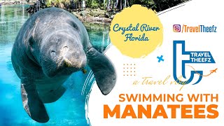 Swimming with Manatees in Crystal River, FLORIDA - Manatee Capital of the World ☀️